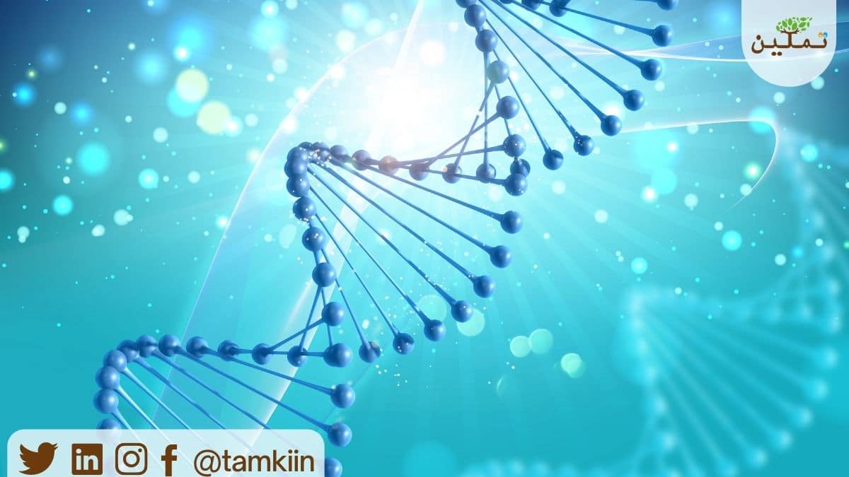 الحمض النووي (DNA)