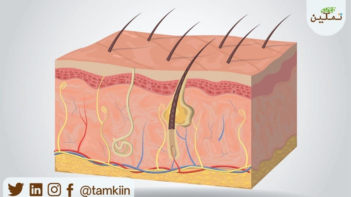 tamkiin